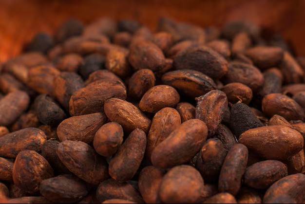 Fèves de cacao