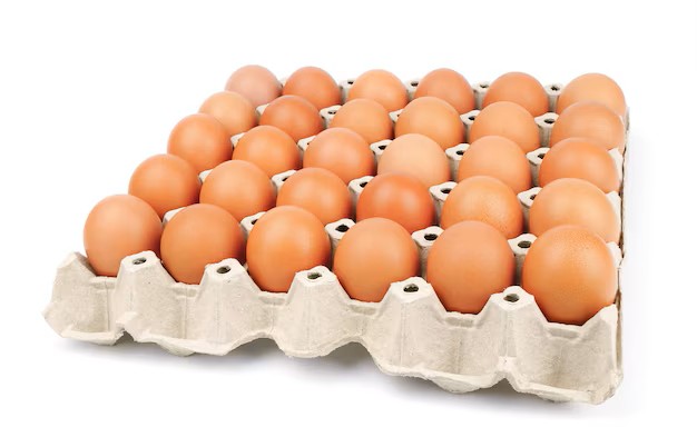 Plaquette d'œufs de poulet frais