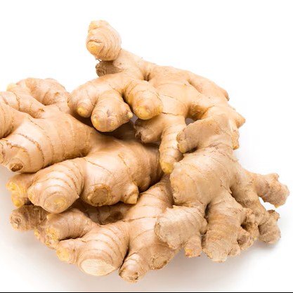 Gingembre frais / sec – qualité export B2B – Côte d’Ivoire
